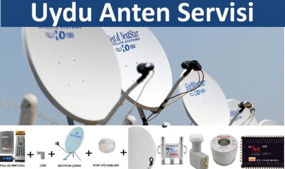 Yumurtalık Antenci